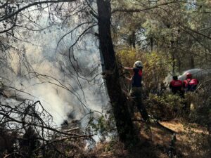 İzmir Büyükşehir Belediyesi İtfaiye Dairesi Başkanlığı’na bağlı itfaiye ekipleri, kentin