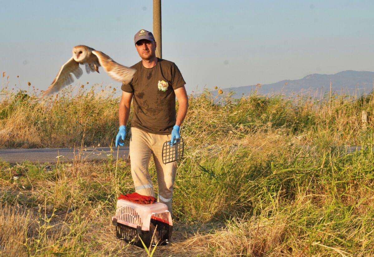 İzmir Büyükşehir Belediyesi Veteriner İşleri Halk Sağlığı Dairesi Başkanlığı’na bağlı