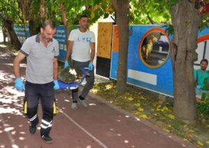 İzmir Büyükşehir Belediyesi Deniz Koruma Şube Müdürlüğü ekipleri, Körfez temizliği
