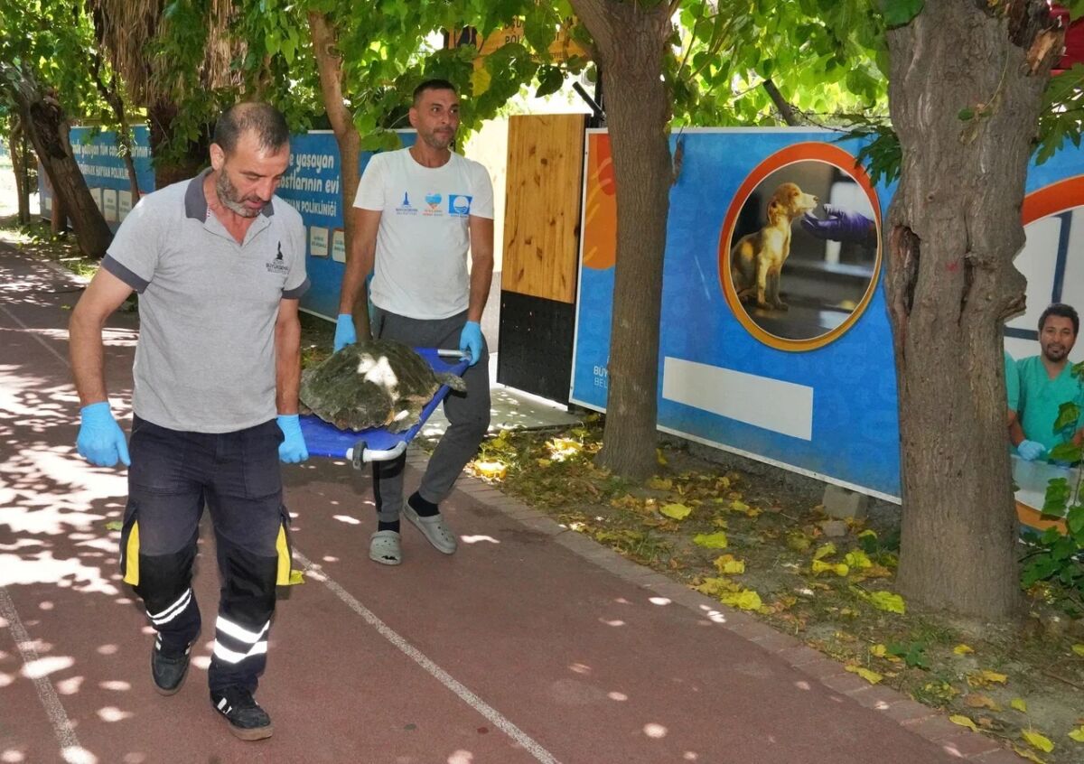 İzmir Büyükşehir Belediyesi Deniz Koruma Şube Müdürlüğü ekipleri, Körfez temizliği