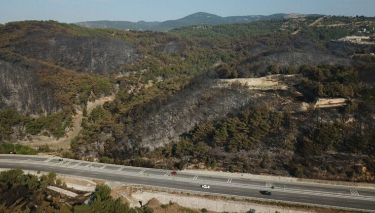 İzmir’deki orman yangını 21 saat sonra kontrol altında
