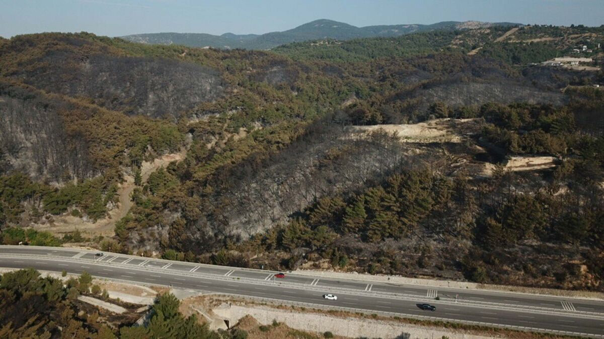 Bornova ilçesi Beşyol Mahallesi yakınlarındaki ormanda, dün saat 13.30 sıralarında