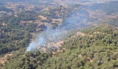 İzmir’de orman yangını: 3 saatte kontrol altına alındı