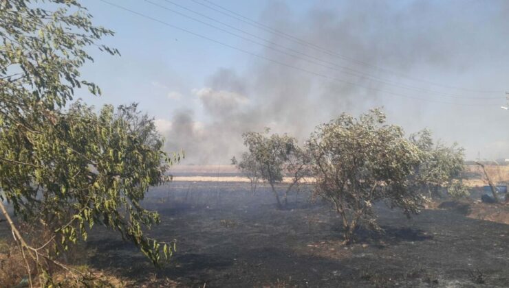 Kemalpaşa’da tarım arazisinde yangın