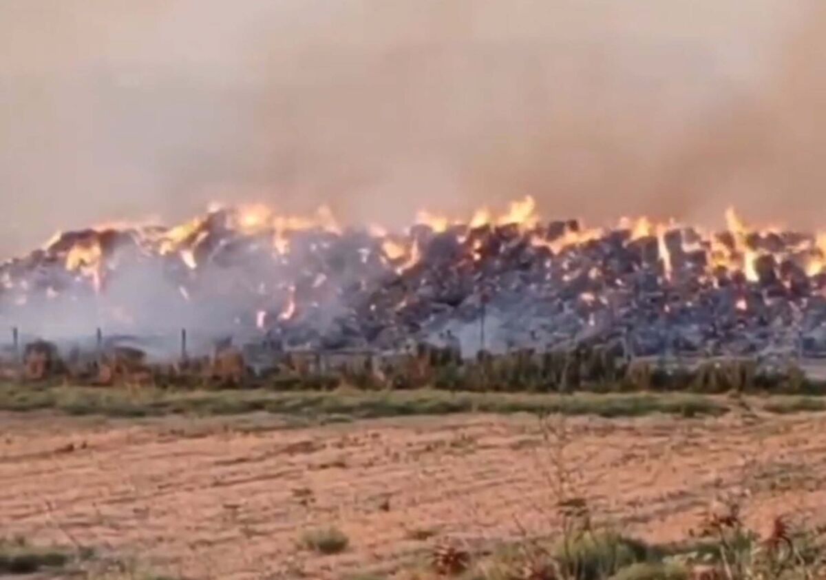 Aydın’ın Söke ilçesindeki kağıt fabrikasının açık alanındaki kağıt toplama bölümünde