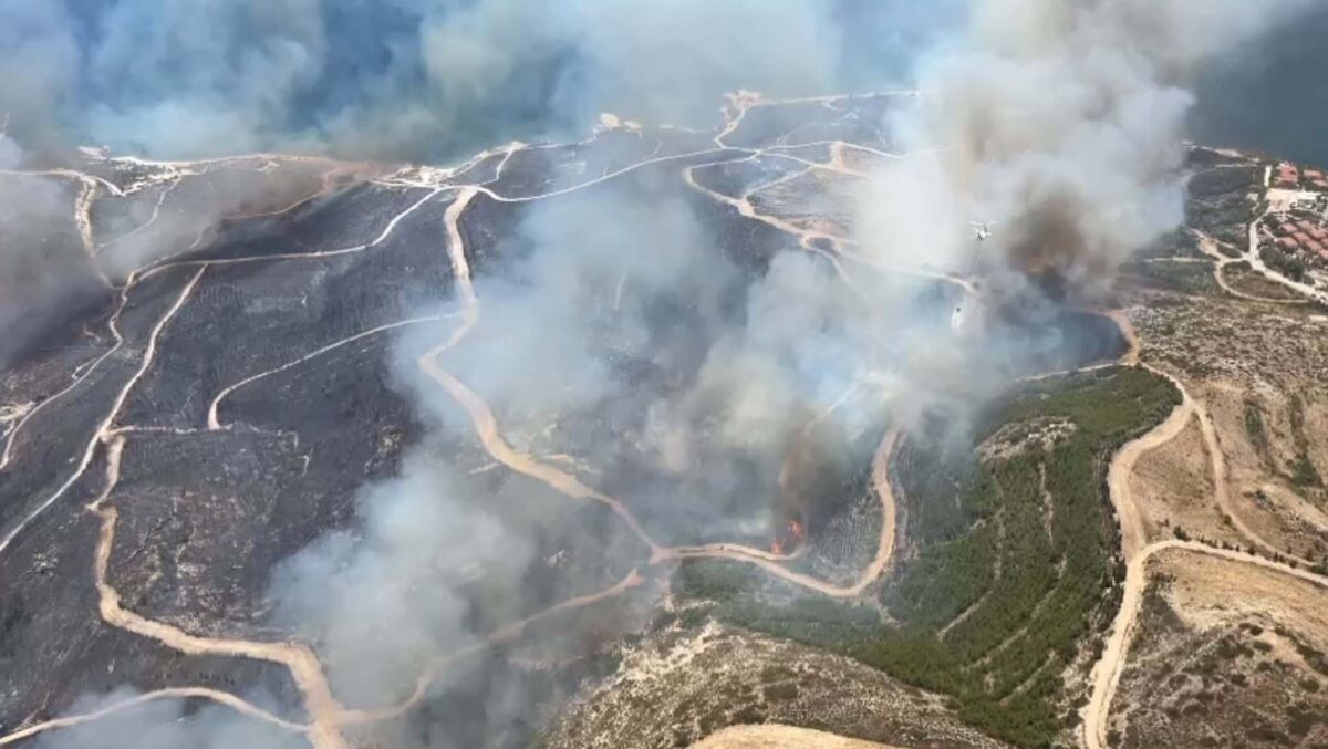 İzmir’in Alaçatı Mahallesi Deliklikoy mevkisinde, ormanlık, makilik ve otluk alanda
