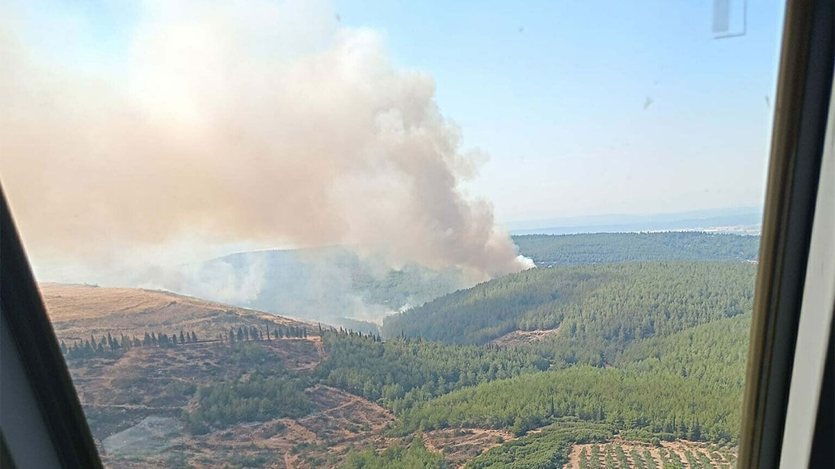Oğlananası Mahallesi’ndeki ormanda saat 16.00 sıralarında orman yangını çıktı. İhbar