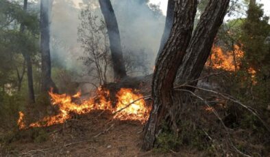 Muğla’da yıldırım düşmesiyle 11 noktada orman yangını çıktı