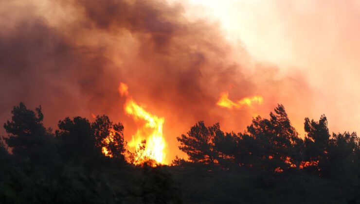 Manisa orman yangınında 600 hektar alan zarar gördü; meradan ormana sıçramış
