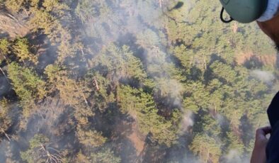 Denizli’deki orman yangını 17 saatte kontrol altına alındı