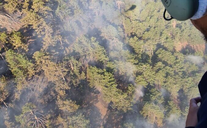 Denizli’deki orman yangını 17 saatte kontrol altına alındı