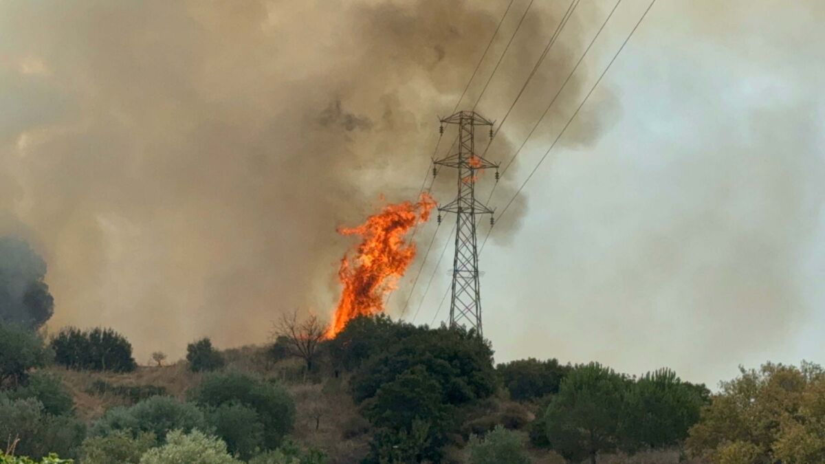 Manisa’nın Turgutlu ilçesindeki otlukta çıkan yangın, ormana da sıçradı. Alevlere