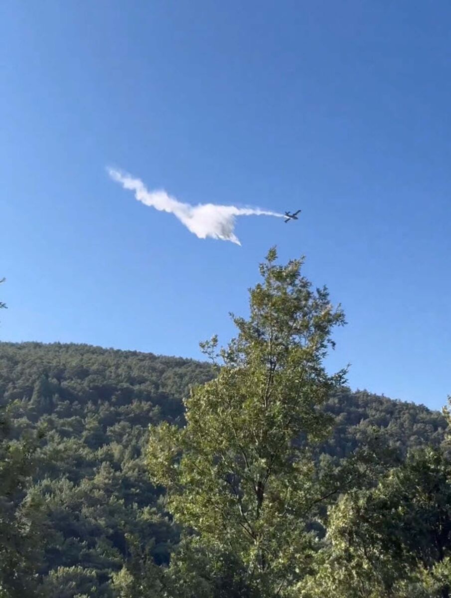 İzmir’in Bergama ilçesindeki orman yangını havadan ve karadan yapılan etkin