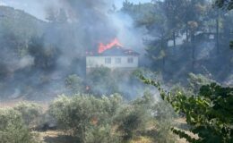 Muğla’da korkutan yangın: Ev ve orman alevler içinde kaldı