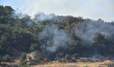 İzmir’de orman yangını: İki mahalle tedbir amaçlı boşaltıldı
