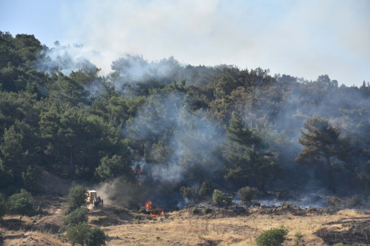 İzmir’de orman yangını: İki mahalle tedbir amaçlı boşaltıldı
