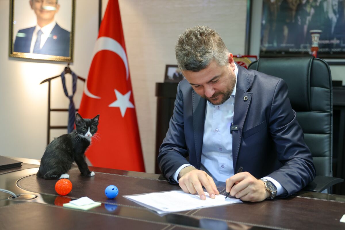 Buca Belediye Başkanı Görkem Duman, bugün Türkiye Büyük Millet Meclisi