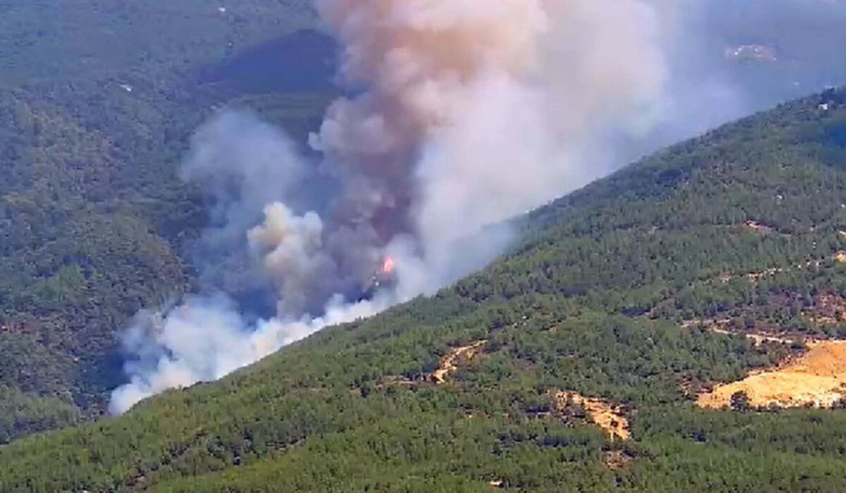 Aydın’ın Çine ilçesinde orman yangını çıktı. Alevlere havadan ve karadan