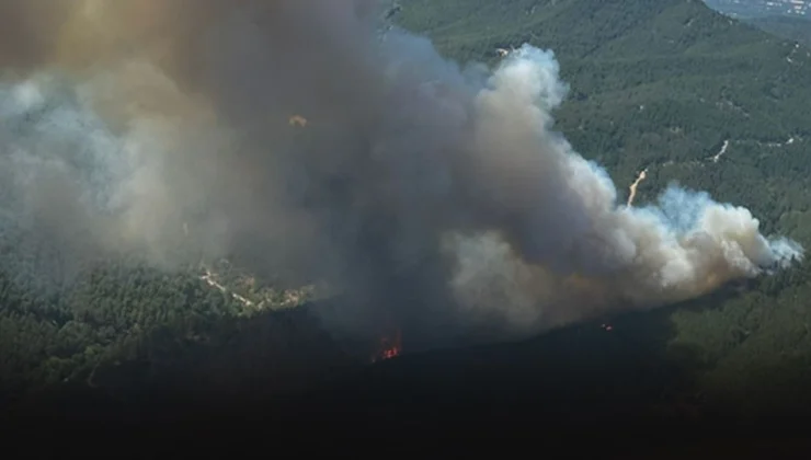 Bergama’daki orman yangınında 2’nci gün