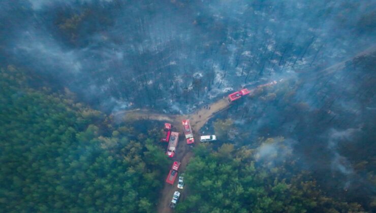 Sendikadan Bergama orman yangını hakkında vahim iddia: ‘Helikopterlerin yakıtı yoktu kalkamadı; personel eksikliği var, müdür yorgunluktan öldü’