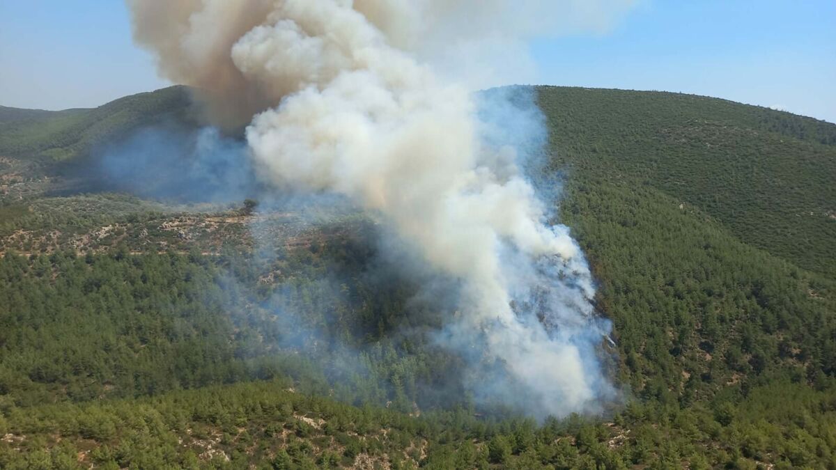 Muğla’nın Bodrum ilçesinde, orman yangını çıktı. Alevlere hem havadan hem