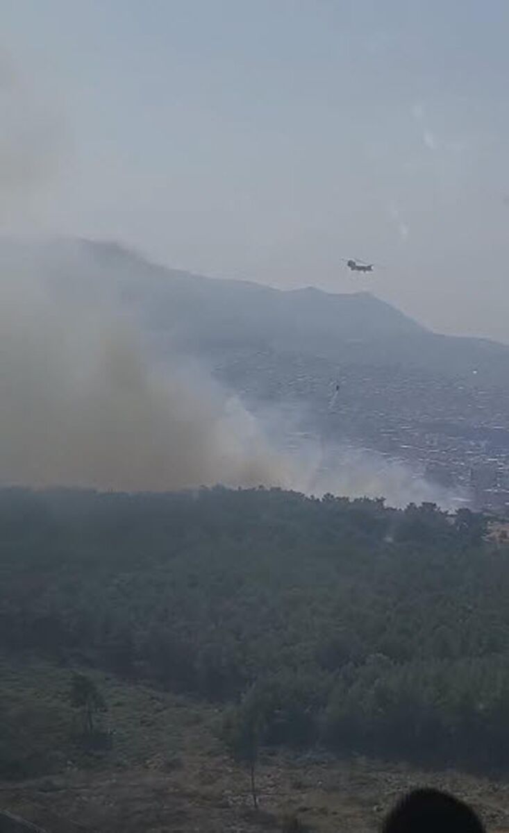 İzmir Buca’da çıkan orman yangını kontrol altına alındı