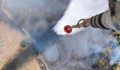 Aydın’da orman yangını kontrol altında: 20 dönüm zeytinlik alan zarar gördü
