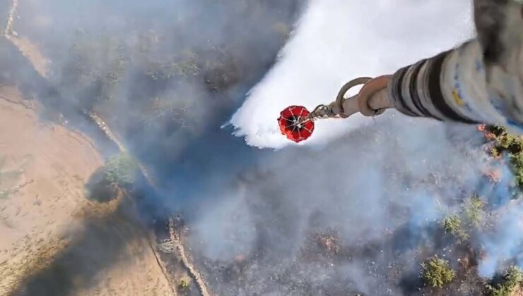 Aydın’da orman yangını kontrol altında: 20 dönüm zeytinlik alan zarar gördü