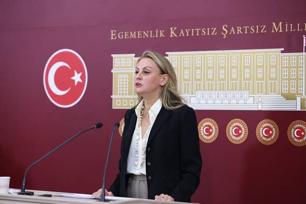DEVA Partisi İzmir Milletvekili Seda Kaya Ösen, Türkiye Büyük Millet
