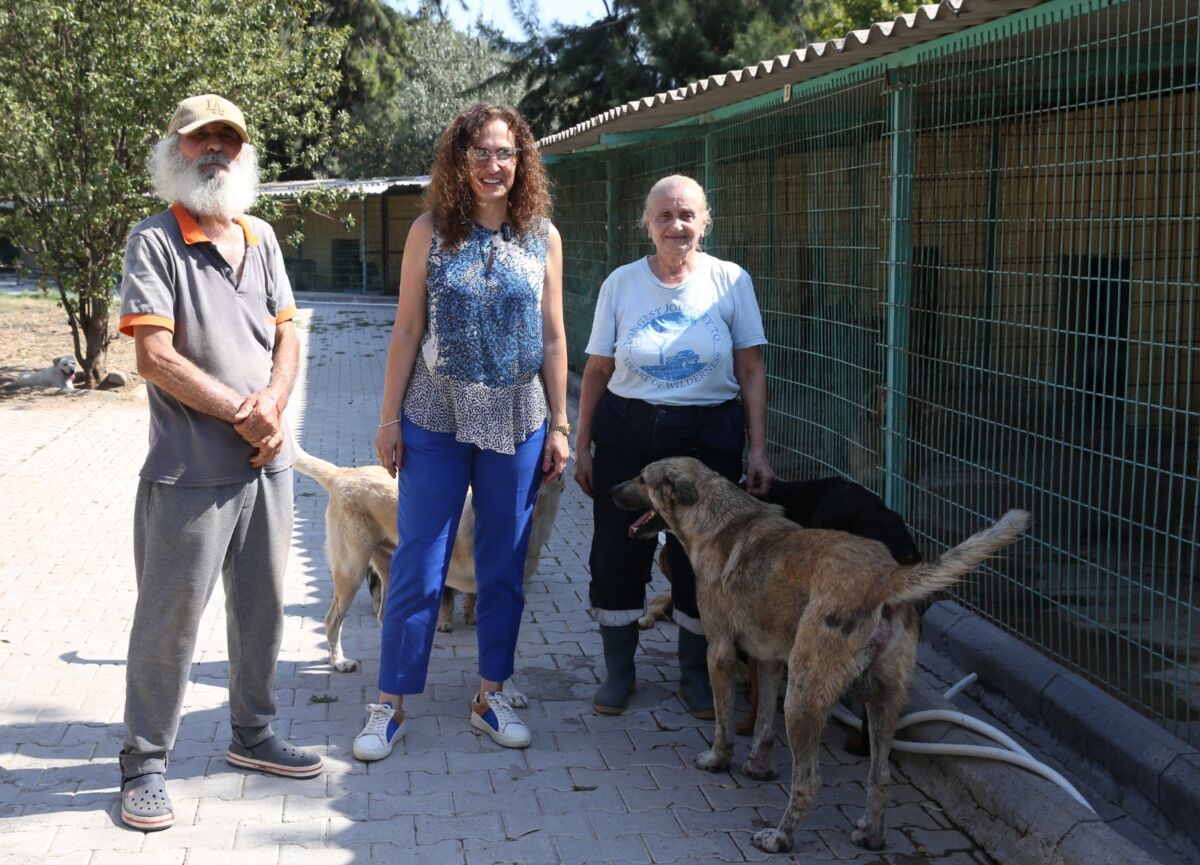 Karşıyaka Belediyesi, sokak hayvanlarının yaşam şartlarını iyileştirecek çalışmalarına devam ediyor.