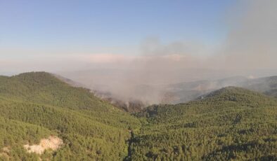İzmir Bergama’daki orman yangını 2’nci gününde