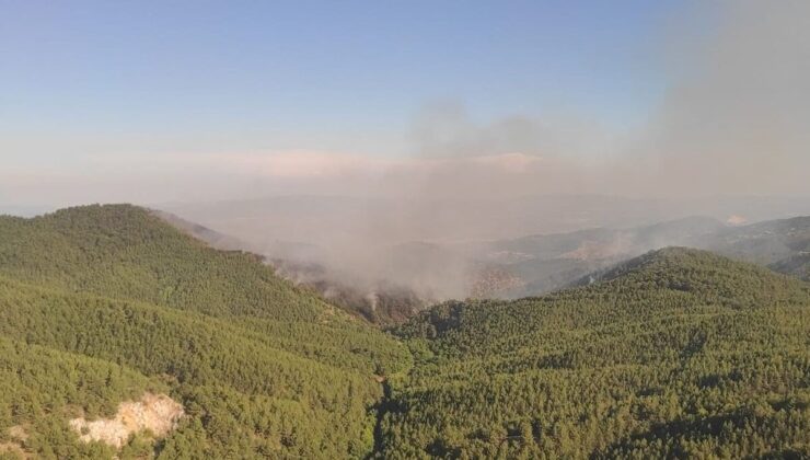 İzmir Bergama’daki orman yangını 2’nci gününde