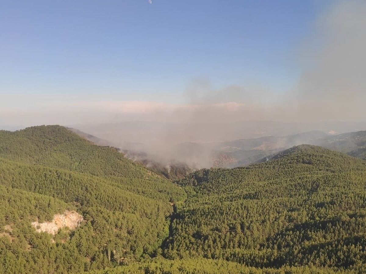 İzmir’in Bergama ilçesinde çıkan orman yangını 2’nci gününde devam ediyor.