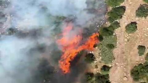 Manisa’nın Kırkağaç ilçesinde orman yangını çıktı. Alevlere havadan ve karadan