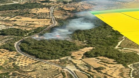 Muğla’nın Milas ilçesinde orman yangını çıktı. Alevlere havadan ve karadan