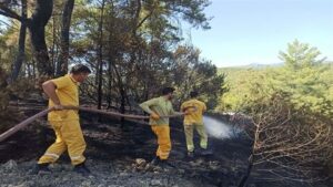 Muğla’nın Milas ilçesinde, orman yangını çıktı. Alevlere havadan ve karadan