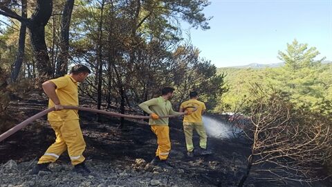 Muğla’nın Milas ilçesinde, orman yangını çıktı. Alevlere havadan ve karadan