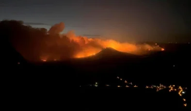 Manisa’da orman yangını: 240 hane tahliye edildi