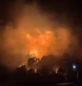 İzmir’in Urla ilçesi, İçmeler mevkisinde, Karaburun gişeleri çıkışında bulunan ormanlık