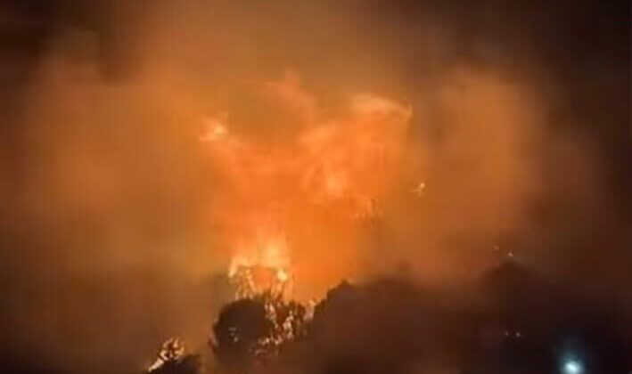 Urla’da orman yangını: Ekipler müdahale ediyor