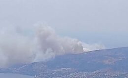 İzmir’de orman yangını: Ekipler seferber oldu
