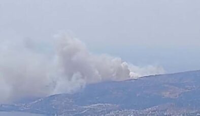 İzmir’de orman yangını: Ekipler seferber oldu