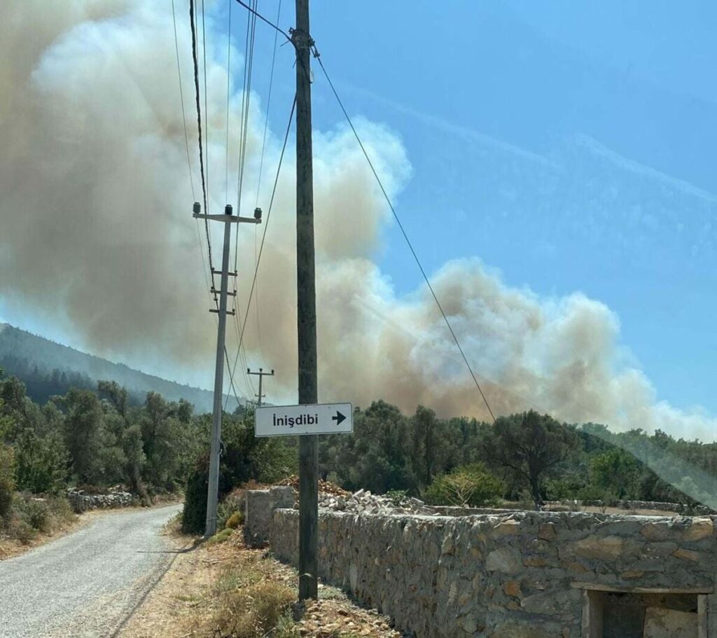yangın