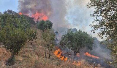 Bergama’daki orman yangınından acı haber