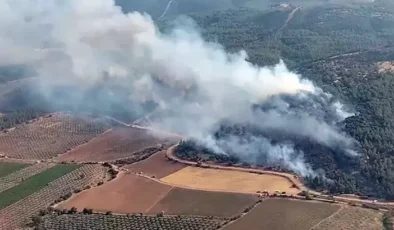 Manisa’da orman yangını: Erken müdahaleyle bir saatte söndürüldü