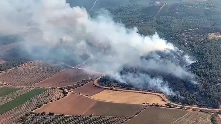 Manisa’da orman yangını: Erken müdahaleyle bir saatte söndürüldü