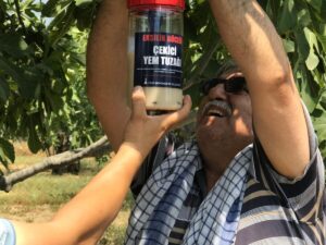 İzmir Büyükşehir Belediyesi kırsalda tarımsal verimliliği artırmak ve bitkisel hastalıklarla