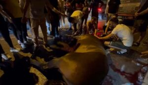 Olay, dün saat 20.30 sıralarında Yeşildere Caddesi’nde meydana geldi. Bayraklı’dan