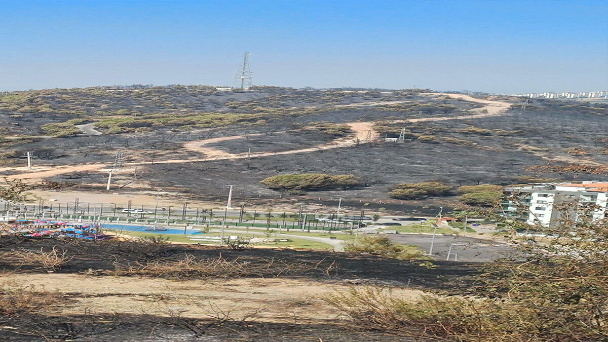 Tarım ve Orman Bakanı İbrahim Yumaklı, Yamanlar Seyirtepe mevkiinde yangınlarla