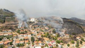 Türkiye’nin birçok bölgesinde eş zamanlı çıkan yangınlar binlerce hektarlık ormanı